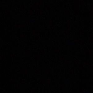 Meet your Posher, Dylan